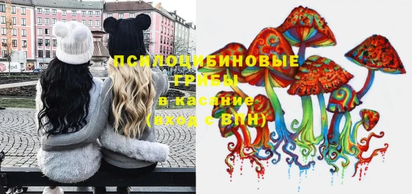 mdma Белокуриха