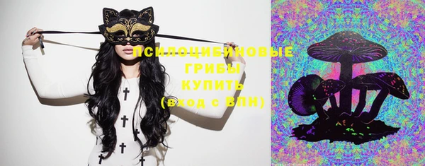 молекула духа Балахна